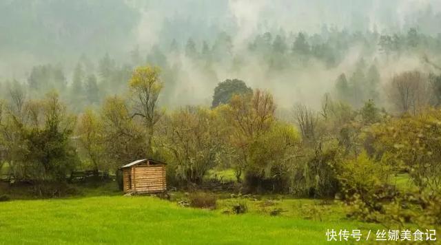 羌塘最惨烈的一次穿越，115人进入仅7人生还