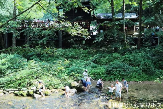 去看悬浮山（张家界高品国际旅行社）