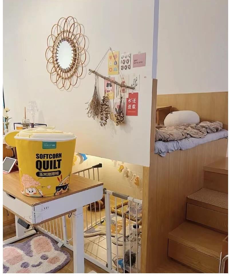 狗狗|30㎡小户型，客餐厨全都有，还有独立的狗狗房，1平米当2平米用