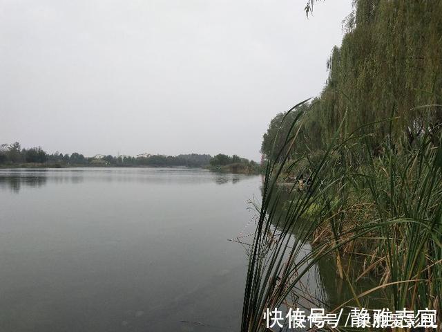 深秋季节转换，野钓鲫鱼钓深还是浅，钓近还是远？四个因素很关键