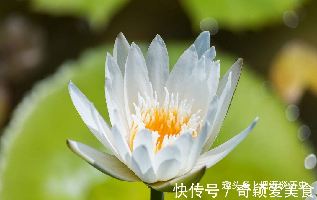 秘密#做人,守好了这四个“遮羞布”,自然能多福少祸