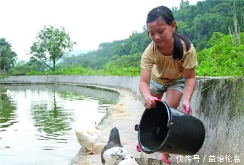 英语|中国最牛专科生，高考仅385分，没毕业就被世界500强公司提前聘走