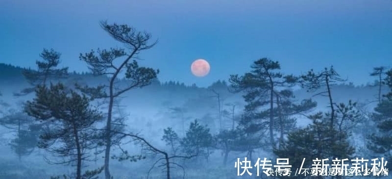 灞上秋居|十首孤独的唐诗,十种不同的心境,但那种孤独却是一样令人感动!