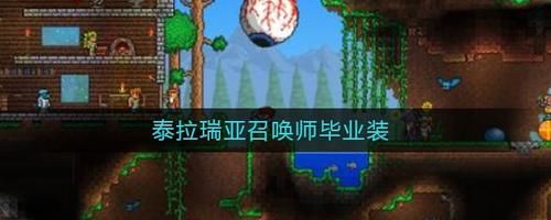 泰拉瑞亚pe12全物品