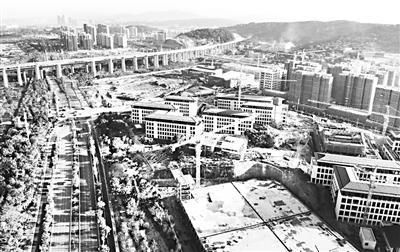 清华附中书院让位于古树名木