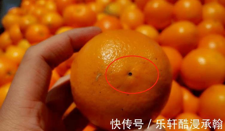 买橙子看一个明显位置，放心挑到肉多香甜的橙子，分享技巧快来看