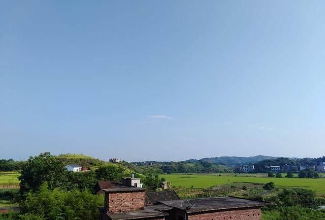 晾晒|自家晾晒的稻谷被偷，兄弟晚上蹲守，发现偷的人傻住