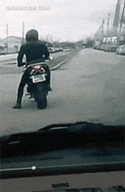 |【搞笑动态图】爱情这杯酒,谁喝都得醉!