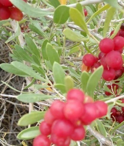 橘子|女性担心长满皱纹,推荐常吃4种食物,美容养颜,预防子宫早衰