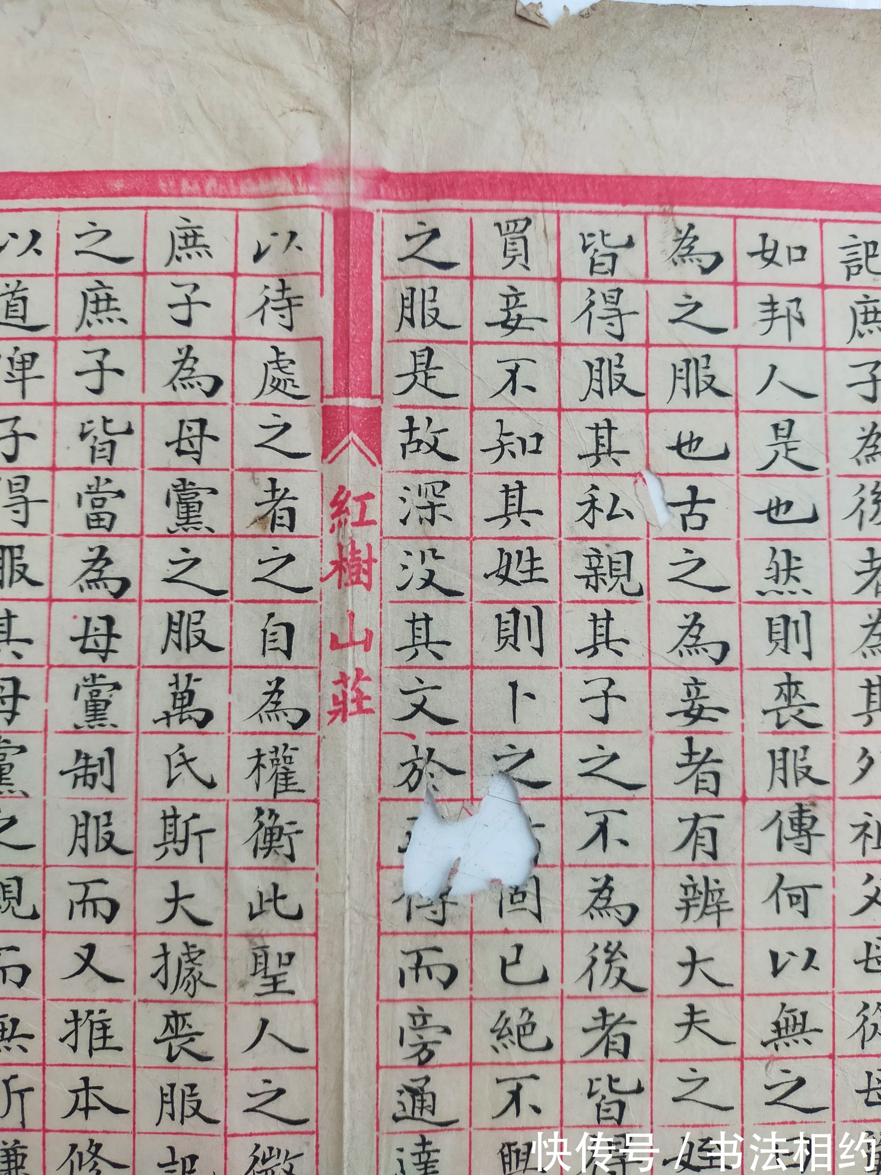 文征明&这些“古老”的手稿残片真惊艳,“写经体”立骨,又有文征明老辣