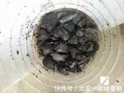 木炭|盆栽底下垫上这4种,告别“植物杀手”称号!