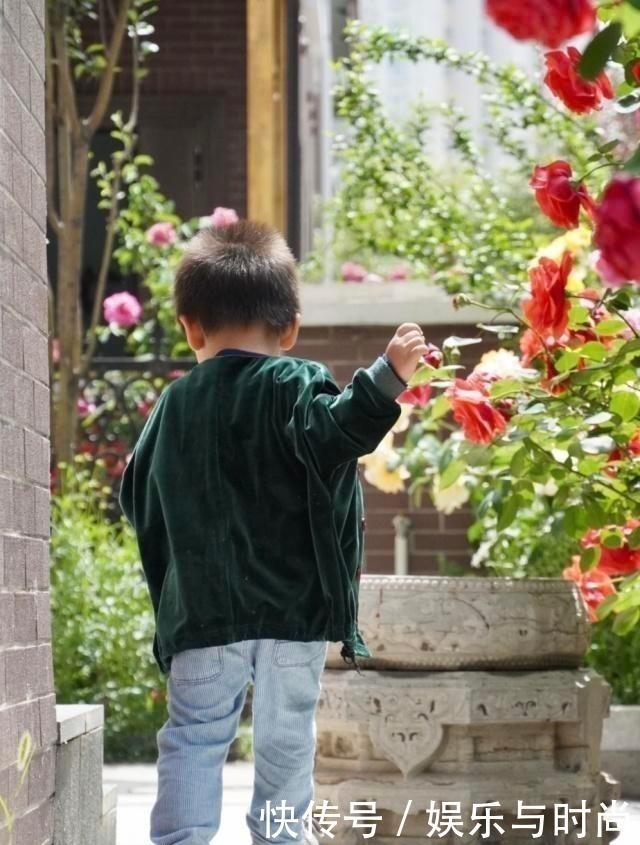 仿生|宝妈爱不释手的神级清洁机,去污除菌一次搞定,小孩再皮也难不倒!