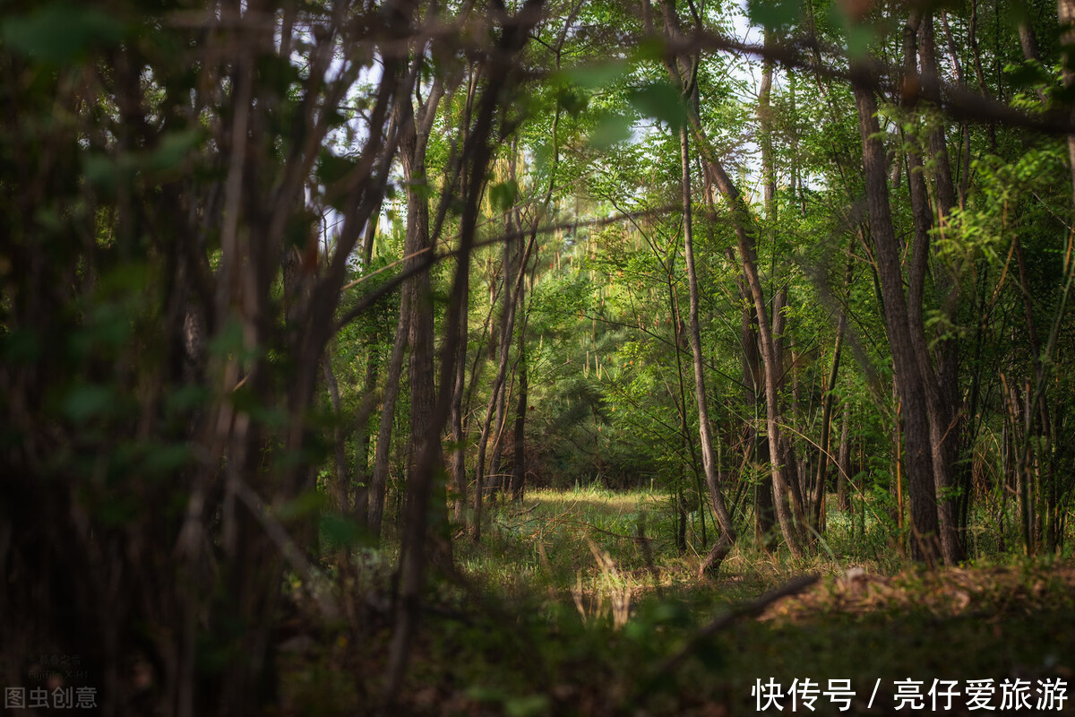 美如画：她背负晴空万里，独驾飞机高空架线