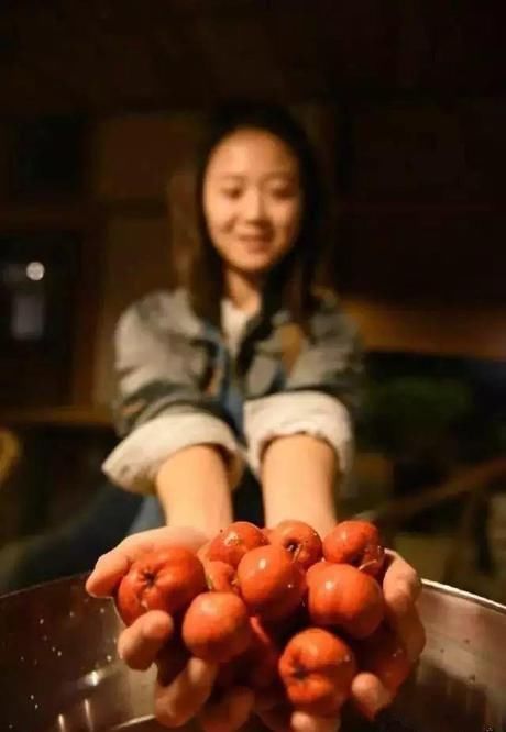差距|20多岁的年龄差距,却把一个破烂的农家小院变成了“桃花源”