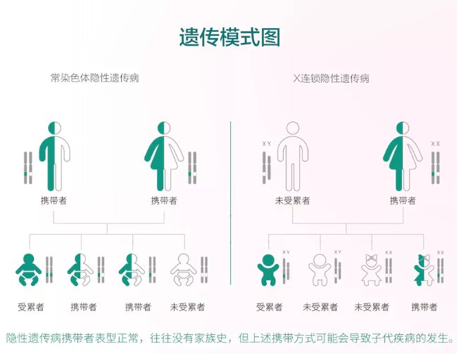 基因|【协和医生说】单基因遗传病携带者筛查，您了解多少？