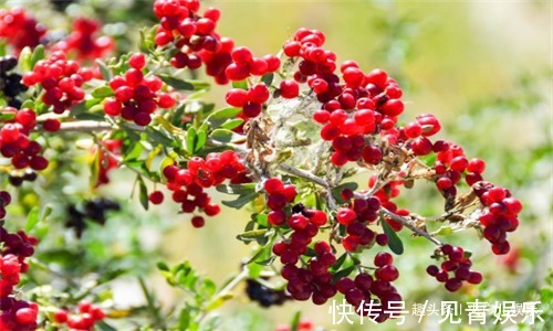 子宮|女性不想子宮“老得快”，常吃3種食物，排毒養顏，預防子宮早衰