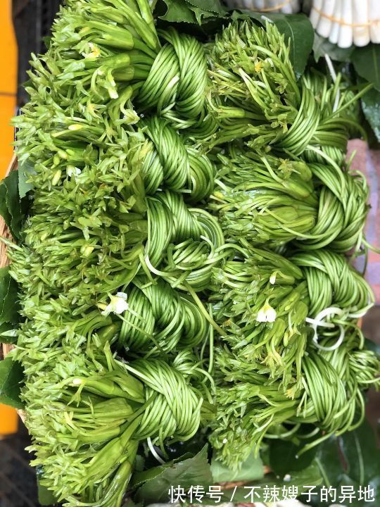 云南|云南菜市场合集!这里肯定有你不知道的蔬菜水果