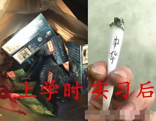 上学时VS实习后，看到这“无处安放”的变化，大学生不想工作