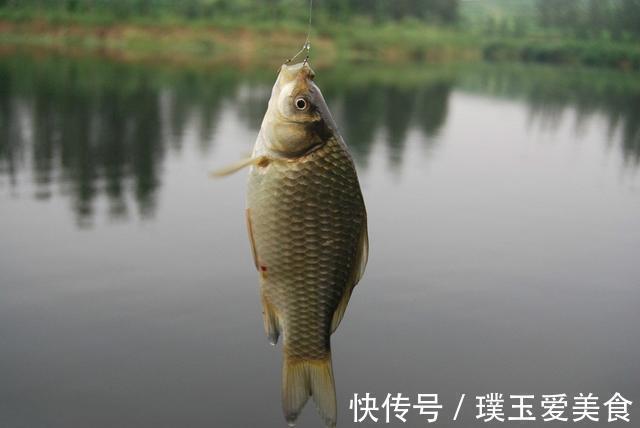 钓鲫鱼时出现两大特征,立即改钓底为钓浮,新手爆护也不难