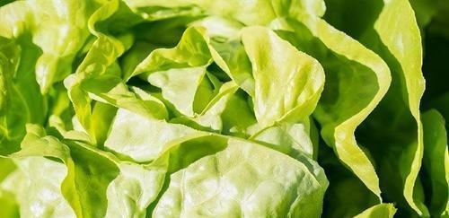 聪明人喜欢吃3种食物，排毒养颜、滋润肌肤，好处多多！