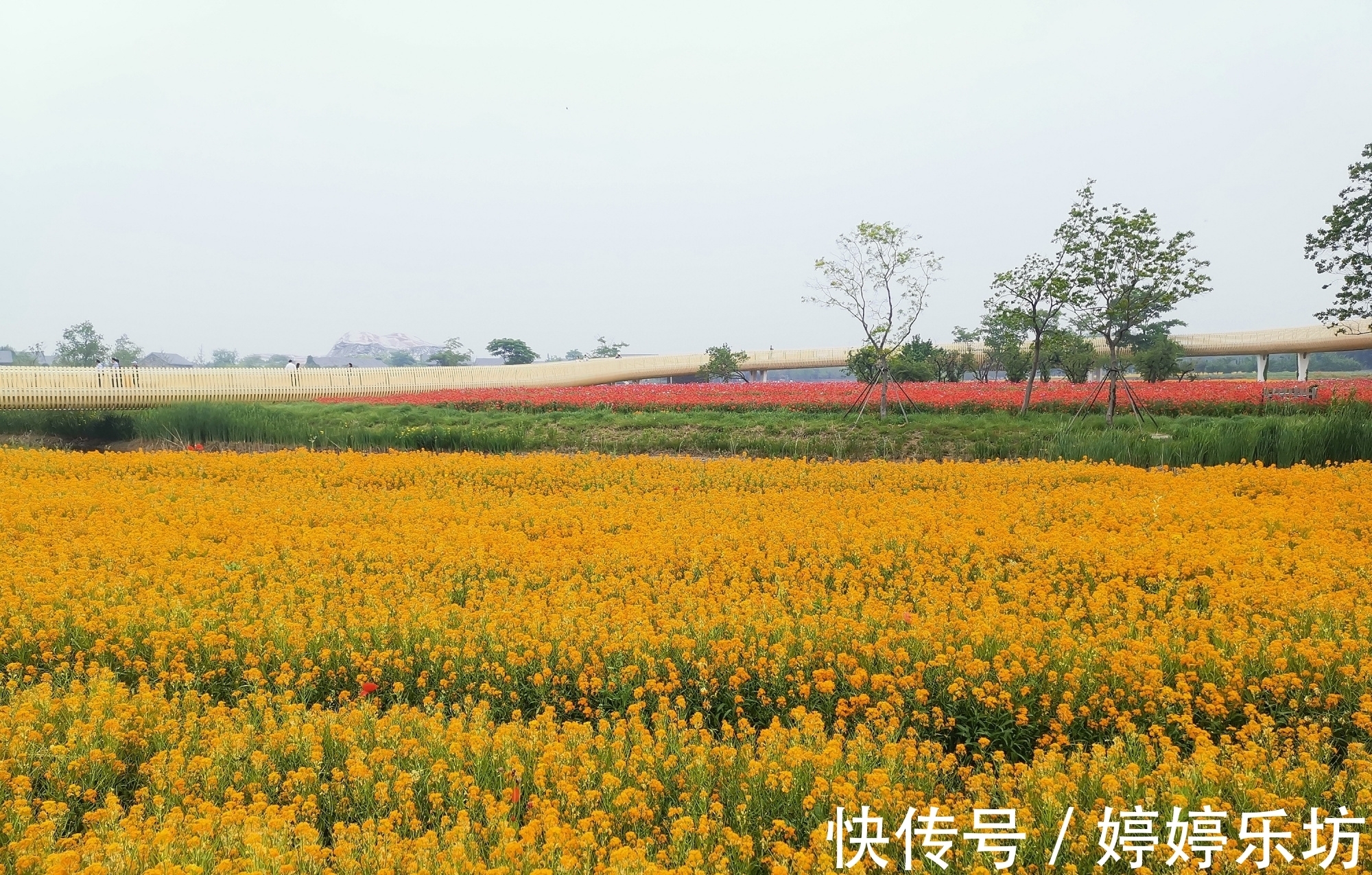 宿迁市|江苏绝美景区火了，号称“宿迁后花园”，距市中心9公里