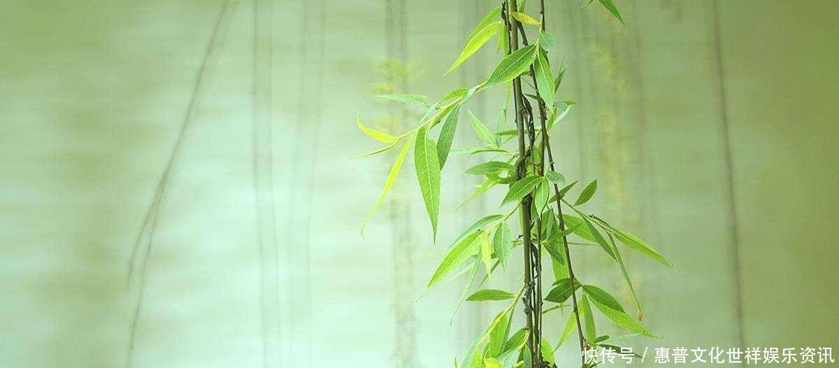 开篇|清代咏物词的压卷之作,开篇凄美得让人落泪,把伤感写得深入骨髓