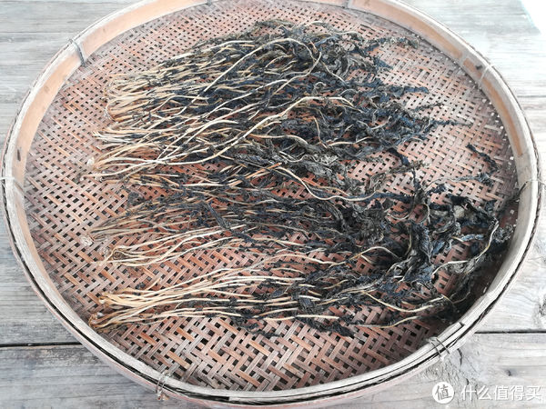 这菜不花钱，营养极高，很多人当垃圾扔，晒干了炖肉特香，别浪费