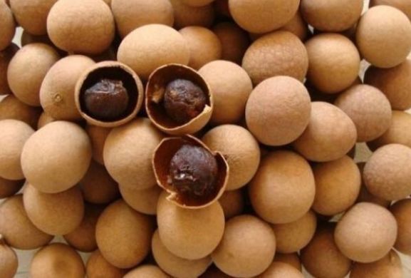 高血压|高血压患者嘴馋了该咋办,可放心吃的四样零食,帮助稳定血压!