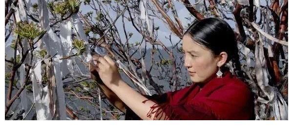 豆瓣8.3,让我泪崩的爱与鲜花
