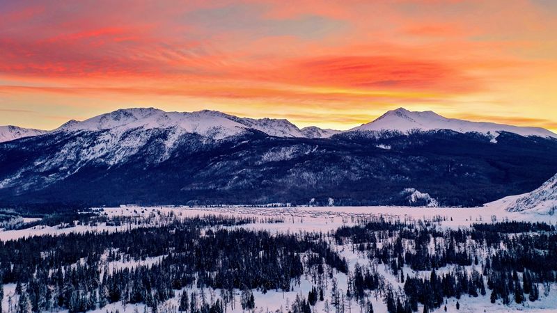 老年|大片来袭！雪季的喀纳斯，带你领略新疆童话般的冰雪世界