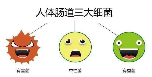 28岁女孩，查出肠癌，医生惋惜：一种食物害了不少年轻人啊