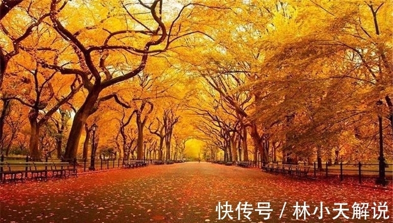 悲秋!寒露,在诗词中感受凉凉的秋意,赏析范仲淹的千古名篇《苏幕遮》