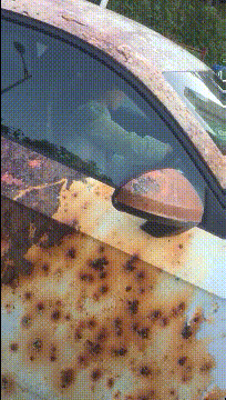 |搞笑GIF:爱干活的小宝宝,真的难为他爸爸了