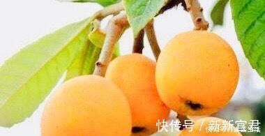 女性|女性不妨坚持吃几种食物,淡化皱纹,延缓衰老,早吃早好!