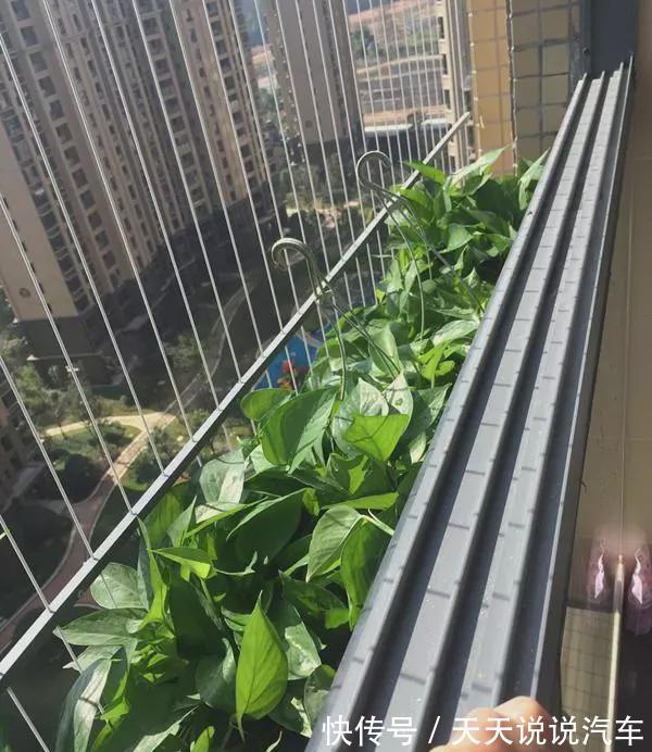 新家|晒晒朋友花半年装修的新家,头次见阳台防盗窗还能这么装!