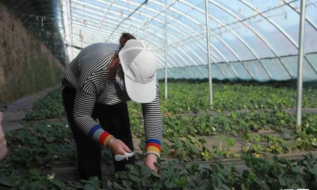 6岁男童成“玻璃人”,不敢玩不敢交朋友,向奶奶哭诉:我好孤独