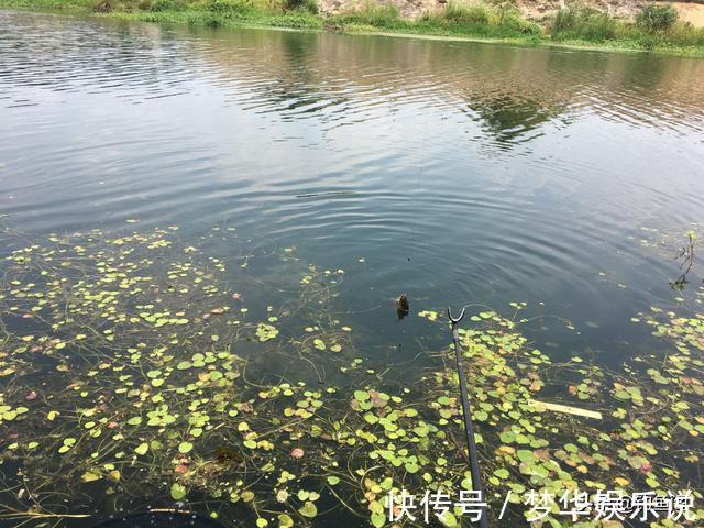 长竿|冬季野钓多久能发窝?别再傻傻等鱼来了,要学会主动出击