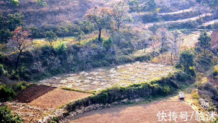 静怡|再游柿子沟