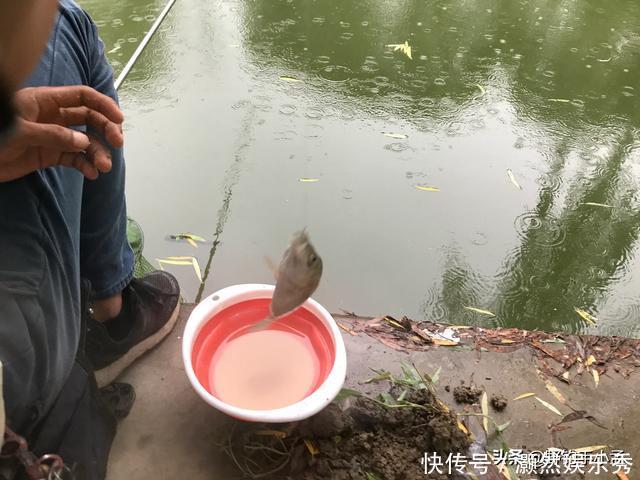 警示!朋友出门野钓,遭遇团伙作案,损失上千元!野钓要当心