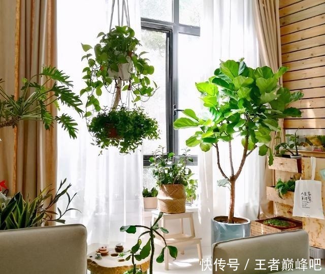 玻璃|打算封阳台来看这篇干货,花钱少颜值又高,还能解决阳台痛点问题!