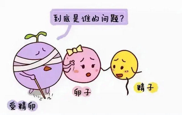 备孕|小心！备孕路上的隐形杀手—慢性子宫内膜炎！