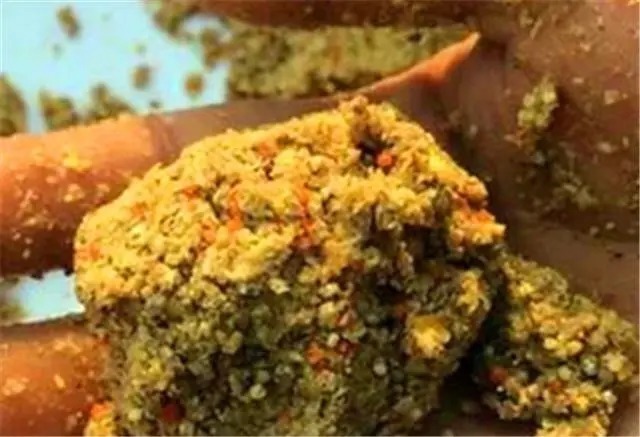 晚秋钓鲫鱼打窝的3大忌,打窝打对了才能爆护!