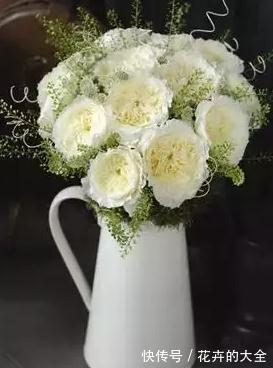 奥斯汀|养月季，要有耐心，掌握方法技巧