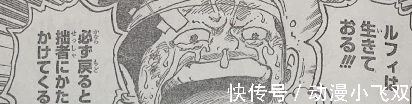 草帽团|海贼王1015话：山治使用索隆，锦卫门牺牲