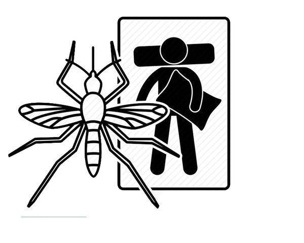 秋季|夏天已过,秋天的蚊子为何还猛如虎?做好4件事,安心过好秋