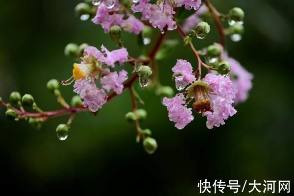 烟雨蒙蒙|大河网景｜河南灵宝：雨后初霁 宛如仙境