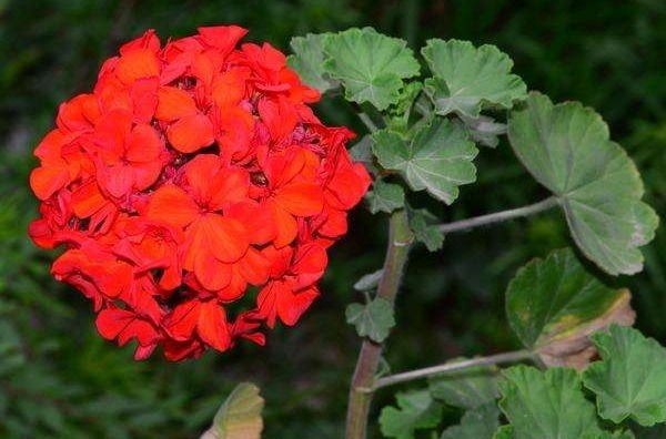 气话|俗话说多说多错,少说少错,想要一生命好福气大,别说4种话!