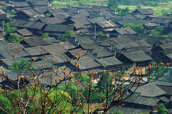 历史悠久|神秘的江南第一村，人一旦进去就难以出来，当地人也会迷路