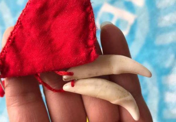 特征|高智商的孩子,一生下来就有这4个特征,连父母也跟着增“福气”