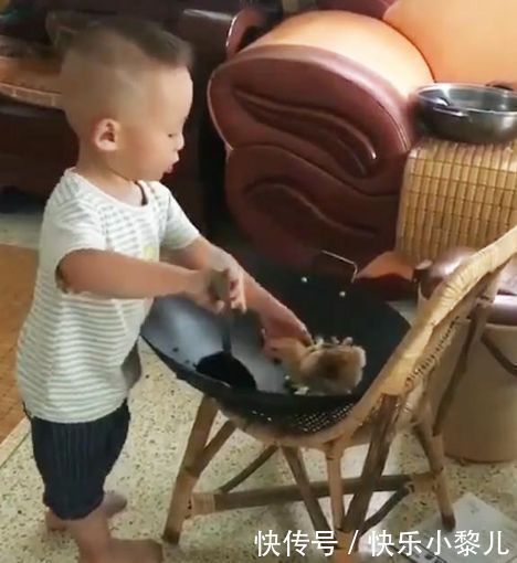 爷爷奶奶|2岁儿子偷偷学做菜,为妈妈“炒鸡”吃,妈妈看到后顿时笑喷